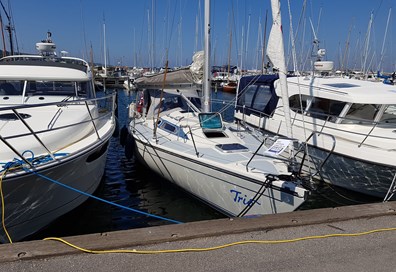 Dehler 34 Optima